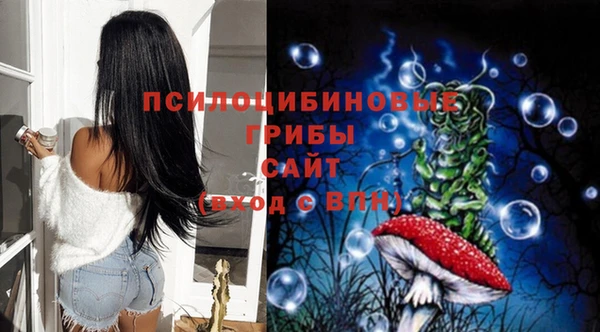 apvp Балашиха